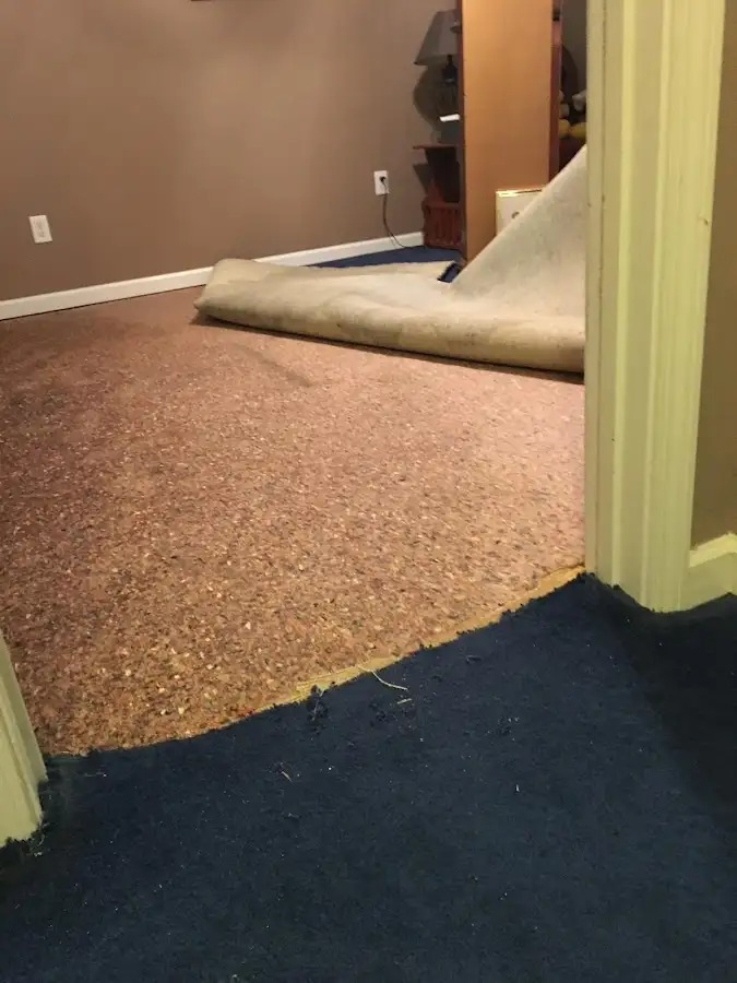 Carpet pad removal revealing water damage during Drying & Dehumidification in Bordentown