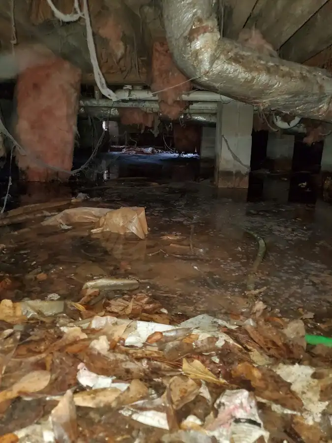 Crawl space flood assessment for Leak Detection & Repair in Bordentown